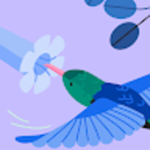 Meet your Posher, Dafne